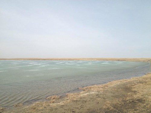 A calm body of water with a sandy shore under a clear sky, surrounded by flat land.