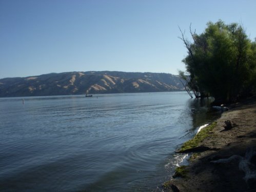 A serene lakeside view with gentle waves, distant hills, and trees along the shore under a clear blue sky.