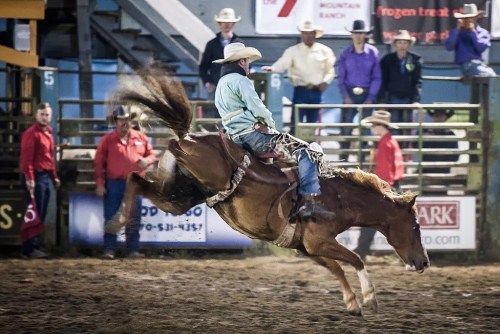A cowboy rides a bucking horse at a rodeo, surrounded by spectators in colorful shirts. Dust flies in the arena.