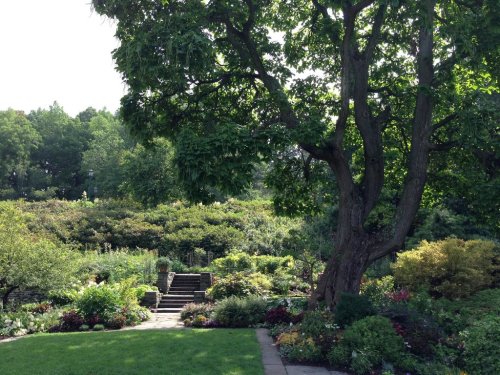 A lush garden with a large tree, colorful flowers, and stone steps leading to a green hillside in the background.