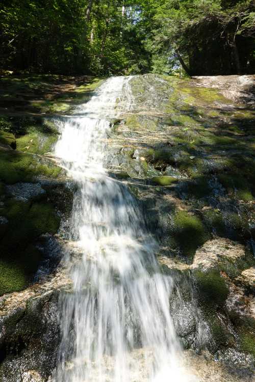 A serene waterfall cascading over moss-covered rocks in a lush green forest.