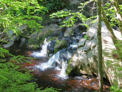 A serene stream flows over rocks, surrounded by lush green foliage and trees in a peaceful natural setting.