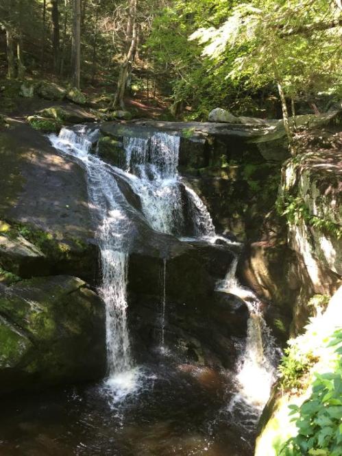 A serene waterfall cascading over moss-covered rocks in a lush green forest.