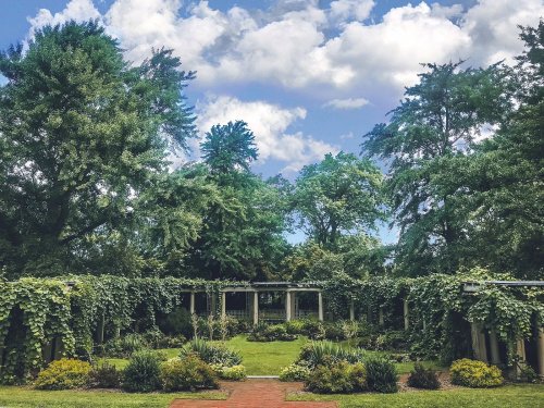 Lush garden with greenery, trees, and a blue sky filled with clouds, featuring a pathway leading through the plants.