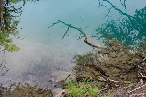 A serene body of water reflecting trees and rocks, with a hint of greenery along the shore.