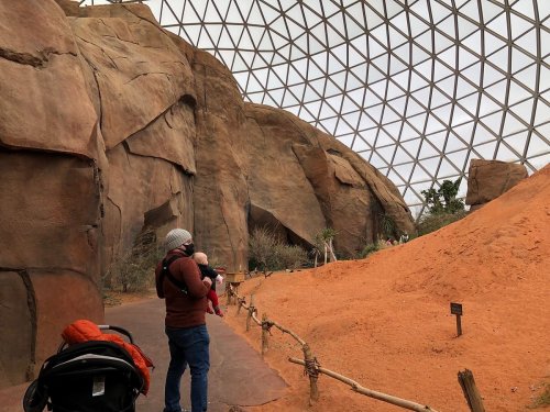 A person holding a baby stands near rocky terrain inside a large geodesic dome, with a stroller nearby.