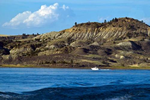 A boat glides across calm water, with rugged hills and a blue sky in the background.