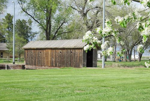 A rustic wooden shed surrounded by green grass and blooming trees under a cloudy sky.