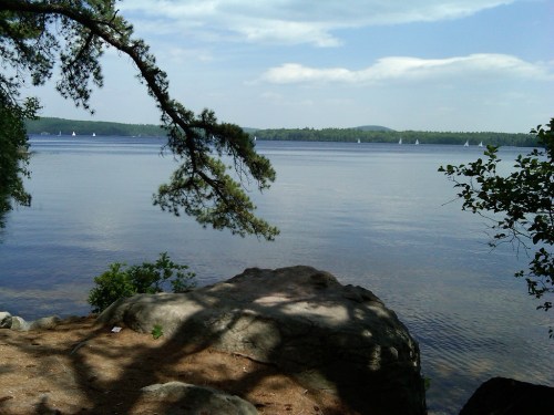 A serene lake view with sailboats in the distance, framed by trees and rocky shoreline under a blue sky.