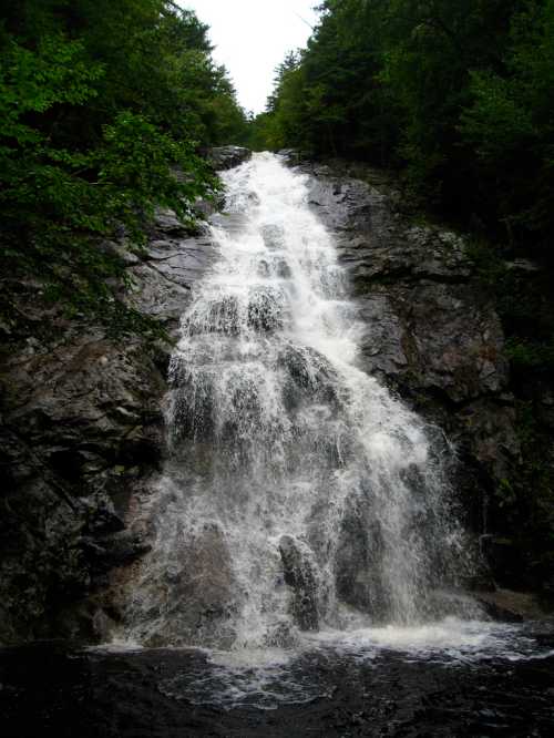 A cascading waterfall flows down rocky terrain, surrounded by lush green trees and a cloudy sky.