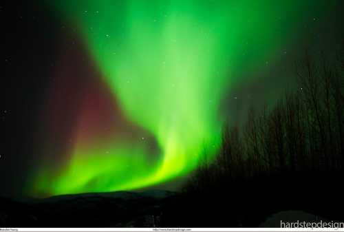 A vibrant display of the northern lights illuminates the night sky with green and purple hues over a dark landscape.