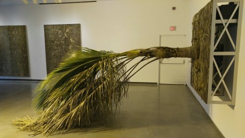 A palm tree extends from a wall, blending art and nature in a modern gallery setting.