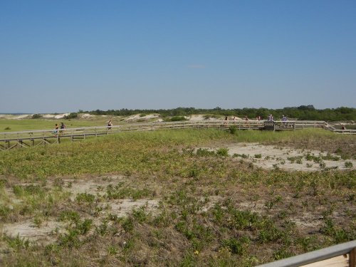 A wooden boardwalk winds through a sandy area with sparse vegetation under a clear blue sky.