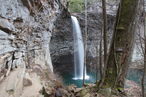 A serene waterfall cascades into a tranquil pool, surrounded by rocky cliffs and bare trees in a peaceful forest setting.