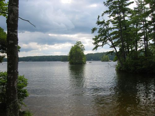 A serene lake scene with trees lining the shore and a small island in the distance under a cloudy sky.