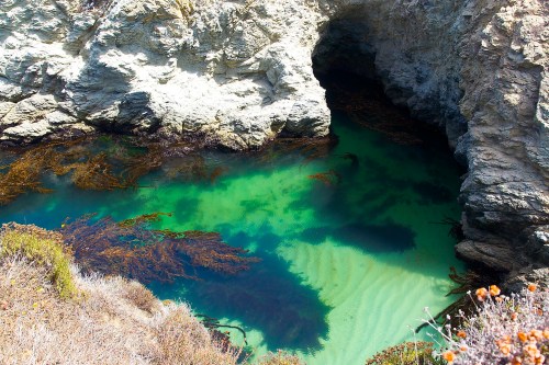 A serene coastal scene featuring clear turquoise water, rocky cliffs, and seaweed in a natural cove.