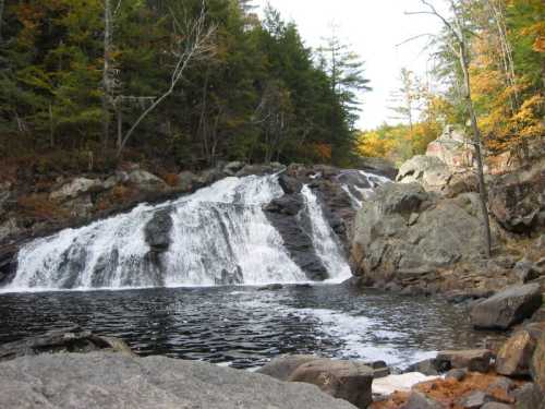 A serene waterfall cascades over rocks into a calm pool, surrounded by trees with autumn foliage.