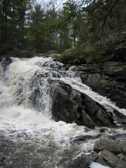 A cascading waterfall flows over dark rocks, surrounded by lush green trees and a serene natural setting.