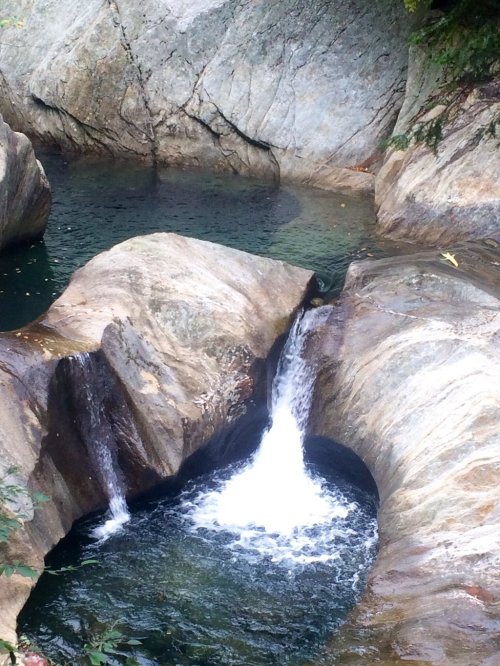 A serene natural pool with a small waterfall cascading over smooth rocks, surrounded by lush greenery.