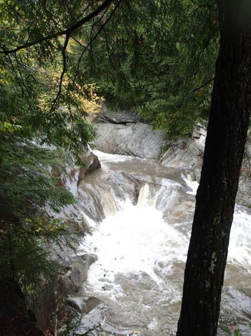 A rushing river flows through rocky terrain, surrounded by lush green trees and foliage.