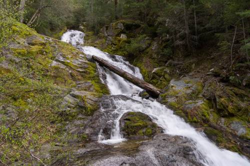 A serene waterfall cascades over moss-covered rocks, with a fallen log resting across the stream in a lush forest setting.