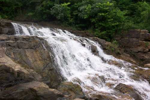 A cascading waterfall flows over rocky terrain, surrounded by lush green trees and foliage.