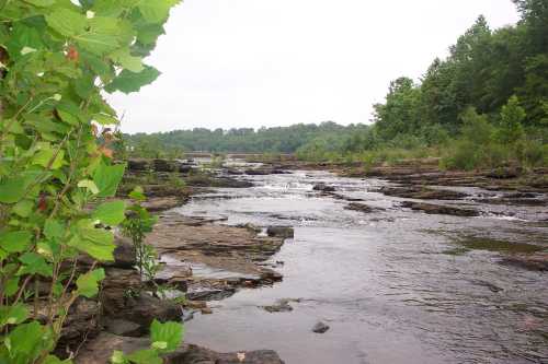 A serene river flows over rocky terrain, surrounded by lush greenery and trees under a cloudy sky.