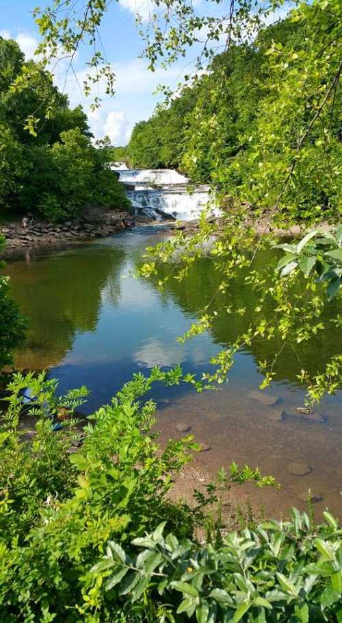 A serene river scene with a waterfall, surrounded by lush green trees and clear blue skies.