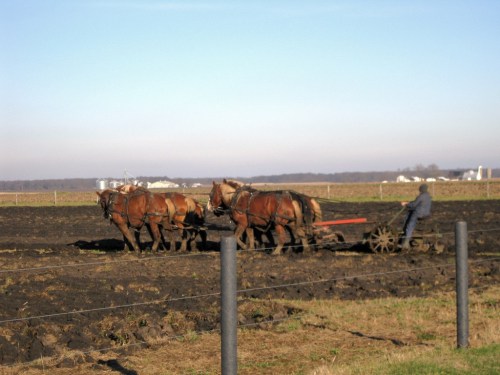 A farmer plows a field with a team of horses, set against a clear sky and distant farm buildings.