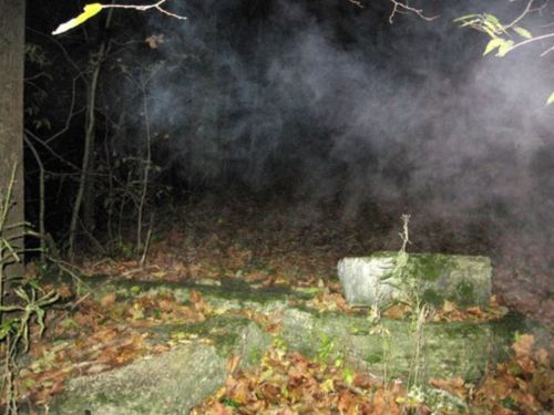 A dark, foggy forest scene with stone remnants and fallen leaves, creating an eerie atmosphere.