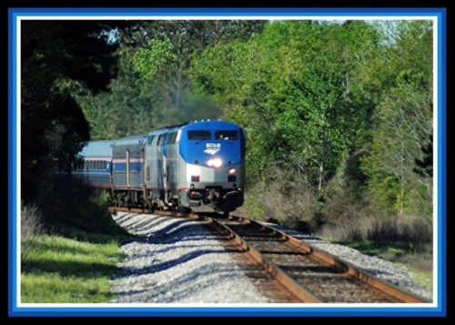 A blue and silver train approaches on a curved track surrounded by lush greenery.