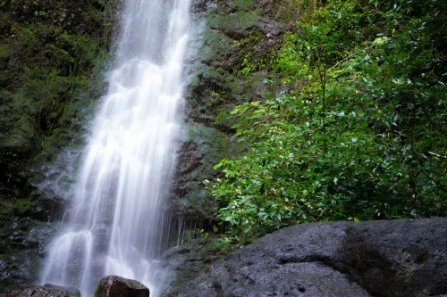 A serene waterfall cascades over rocks, surrounded by lush green foliage in a tranquil forest setting.