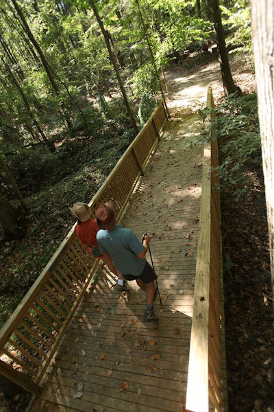 Two people stand on a wooden bridge in a forest, surrounded by trees and fallen leaves.