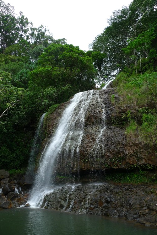A serene waterfall cascading down rocky cliffs into a tranquil pool, surrounded by lush green trees and foliage.