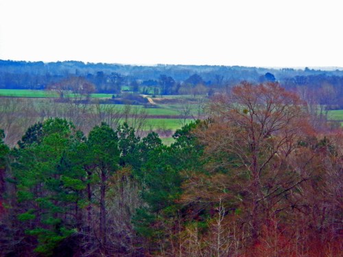 A scenic view of rolling hills and fields, with trees in the foreground and a cloudy sky above.