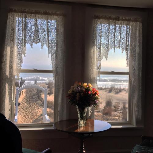 A view through lace curtains of a beach scene, with a vase of flowers on a table in the foreground.