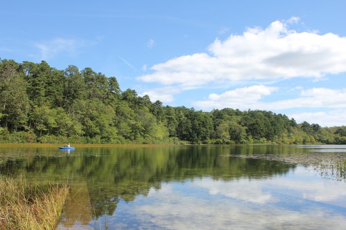 A serene lake surrounded by lush greenery, with a clear blue sky and fluffy clouds reflected in the water.