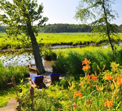 A serene landscape featuring a river, lush greenery, and vibrant orange flowers, with two blue lounge chairs by the water.