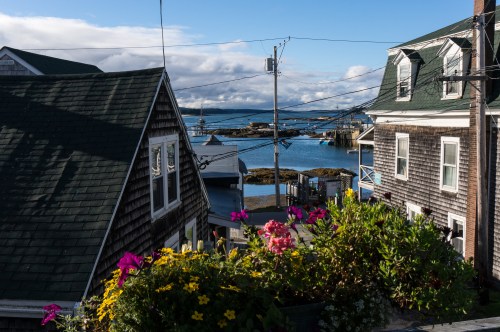 View of a coastal town with houses, colorful flowers, and a serene harbor under a blue sky.