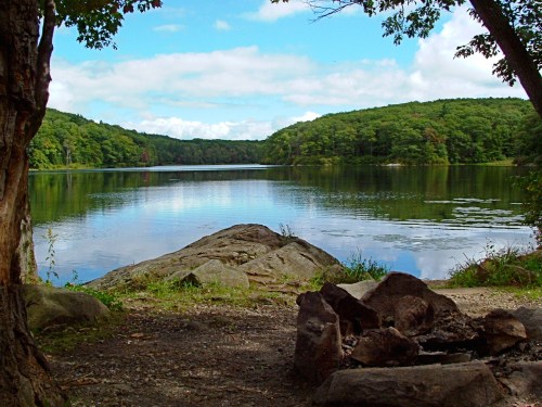 A serene lake surrounded by lush greenery, with a rocky shore and a clear blue sky reflecting on the water.