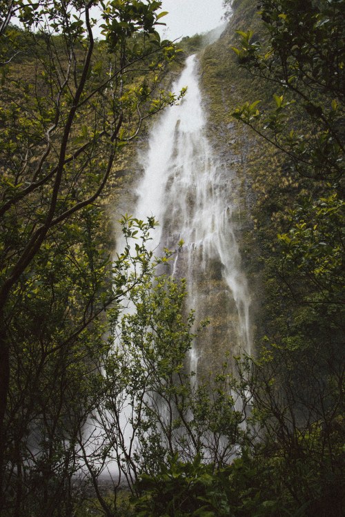 A cascading waterfall surrounded by lush greenery and trees in a misty, serene landscape.