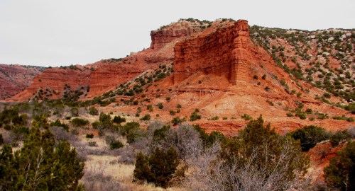 Red rock formations rise above a dry landscape, with sparse vegetation and a cloudy sky in the background.