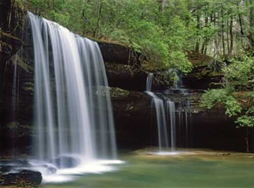 A serene waterfall cascades over rocks into a tranquil pool, surrounded by lush green trees and foliage.