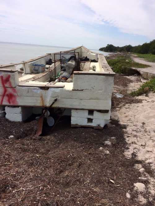 Abandoned boat on a sandy shore, partially covered in seaweed, with a calm water backdrop and greenery nearby.