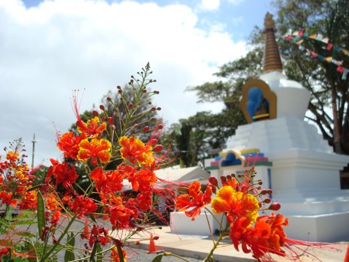 Colorful orange and yellow flowers in the foreground with a white stupa and blue statue in the background under a cloudy sky.
