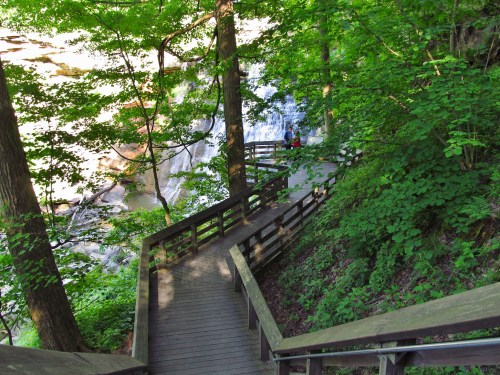 A winding wooden path through lush greenery, leading to a waterfall in a serene forest setting.