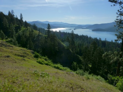 A scenic view of a lake surrounded by mountains and lush green trees under a clear blue sky.