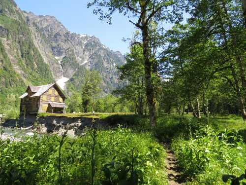 A rustic cabin surrounded by lush greenery and mountains under a clear blue sky. A path leads through the landscape.