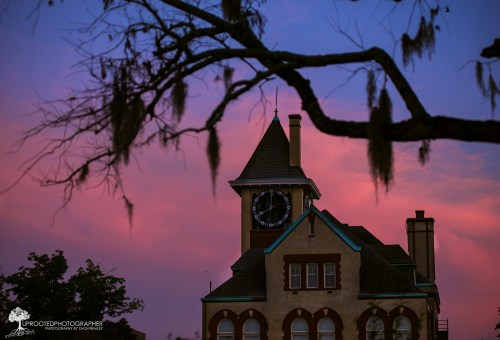 A clock tower atop a building silhouetted against a vibrant pink and purple sunset sky, with tree branches in the foreground.