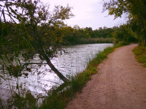 A serene path alongside a calm river, bordered by lush greenery and trees under a cloudy sky.
